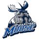   Manitoba Moose